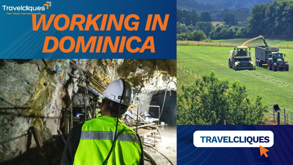 Working in Dominica